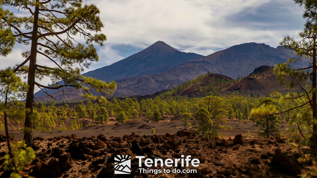 teide sunset quad