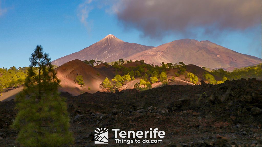 quad biking in tenerife