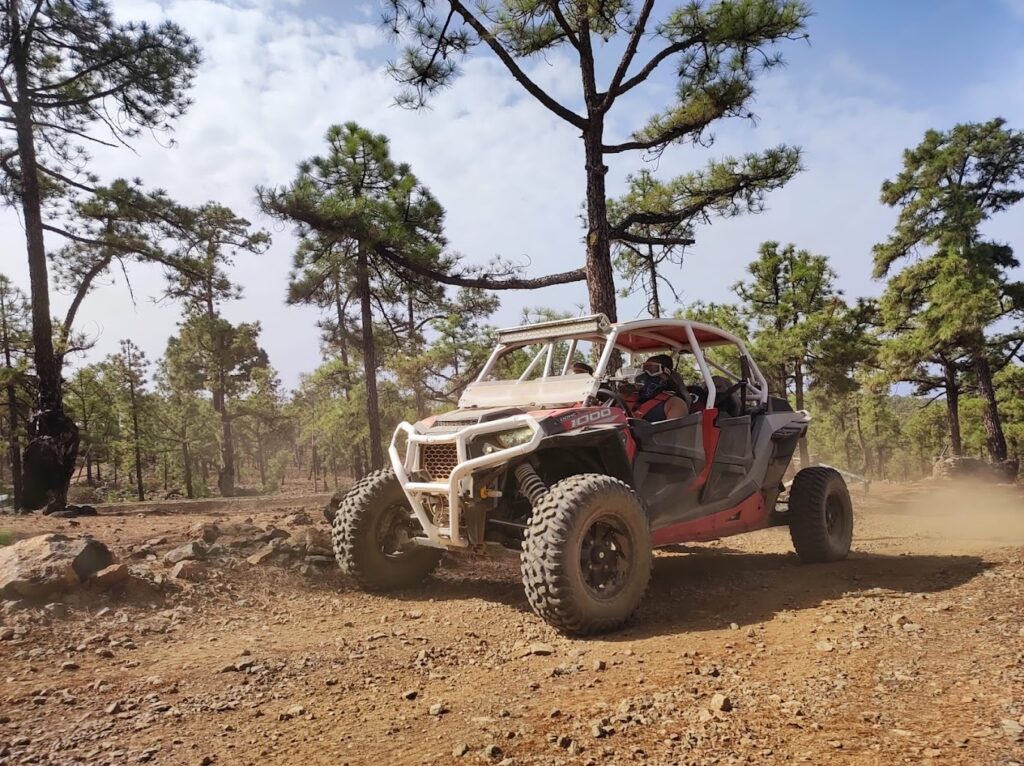 TEIDE BUGGY EXPERIENCE